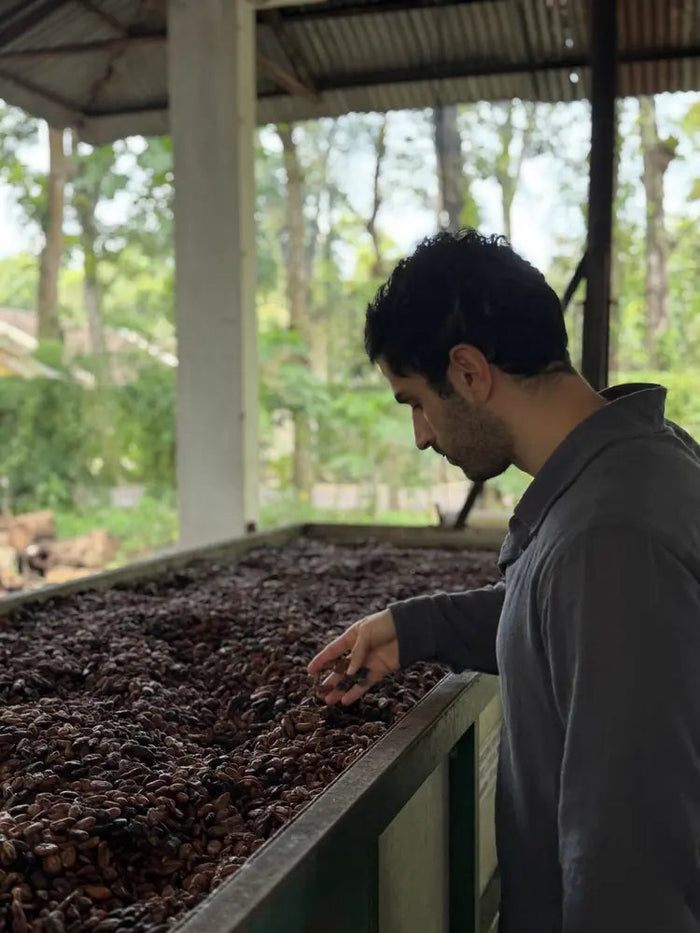 Ali running his hand through cacao beans on a drying table