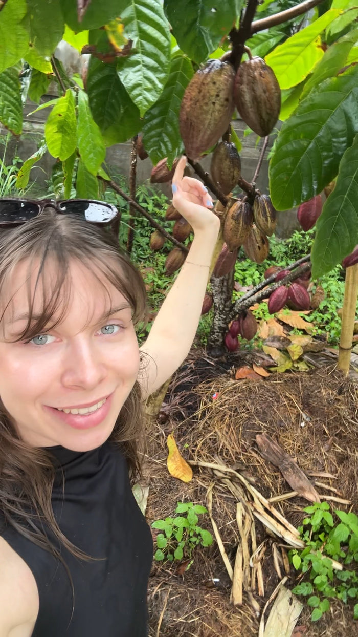 Maria smiling under a cacao tree, reaching up to a hanging pod